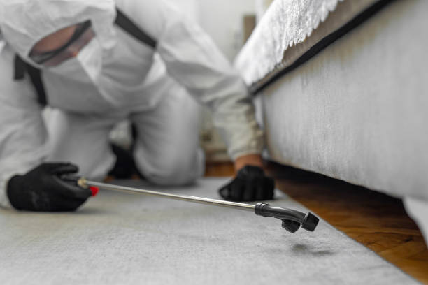 Professional Cockroach Control technician working in Worth County County, GA